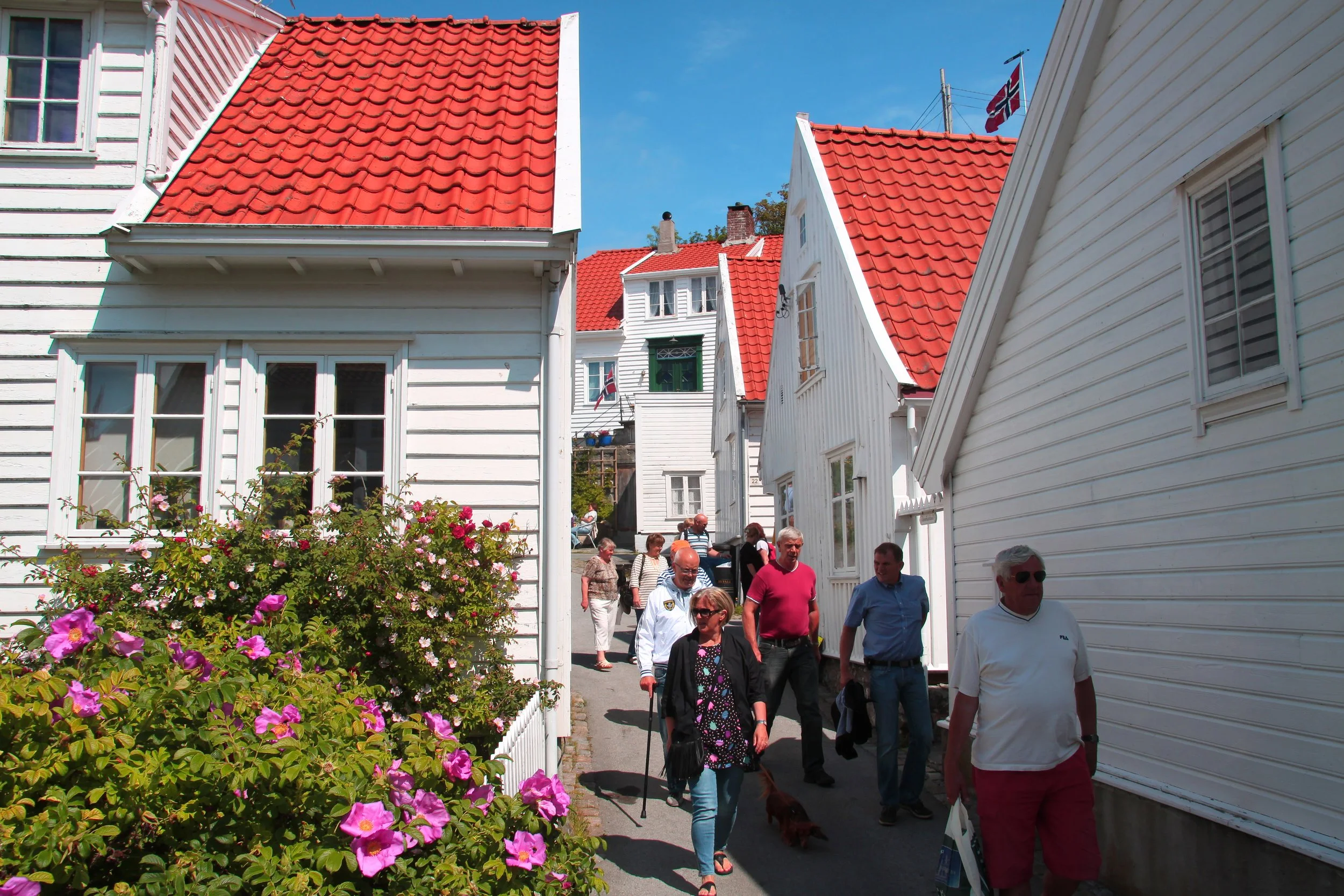En gruppe mennesker går langs en gate omgitt av hvite trehus med røde tak på en solrik dag, med blomster i forgrunnen og norsk flagg i bakgrunnen.