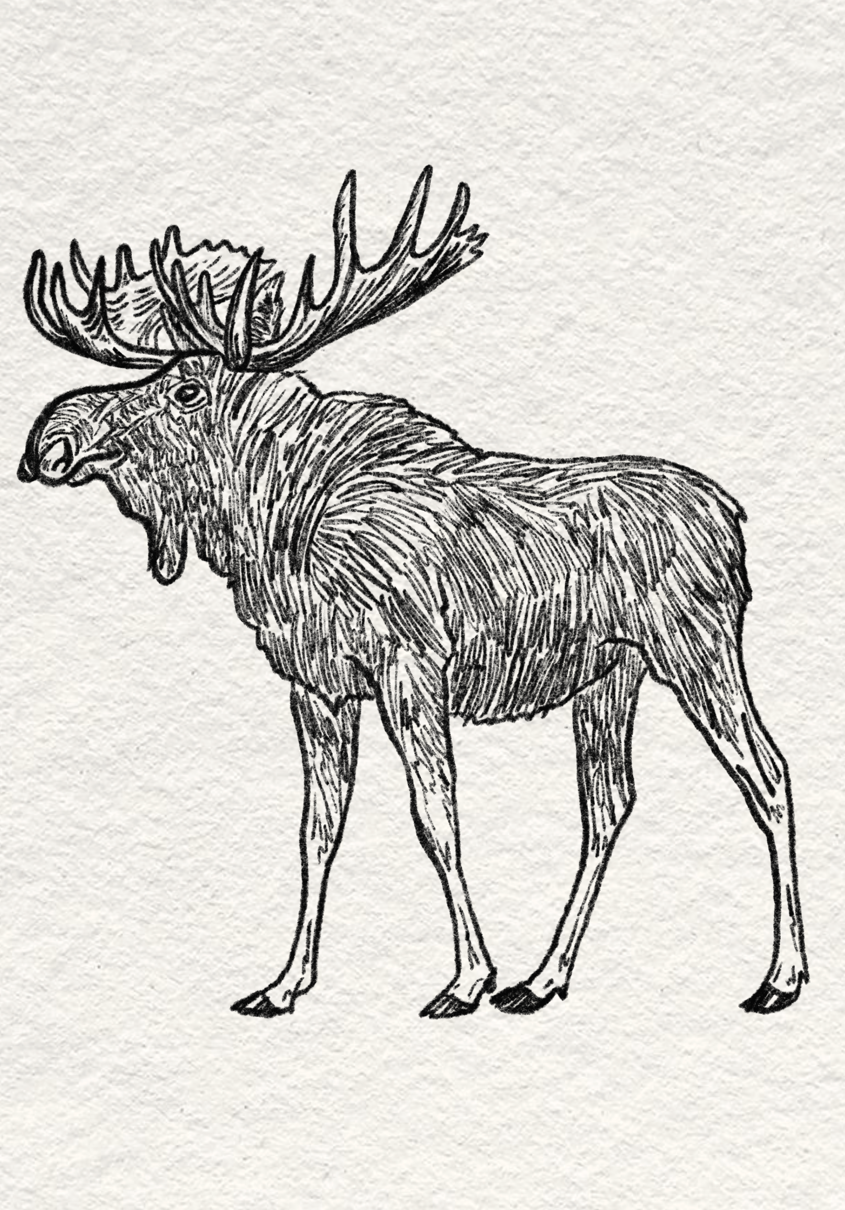 Untitled_Artwork 11.png