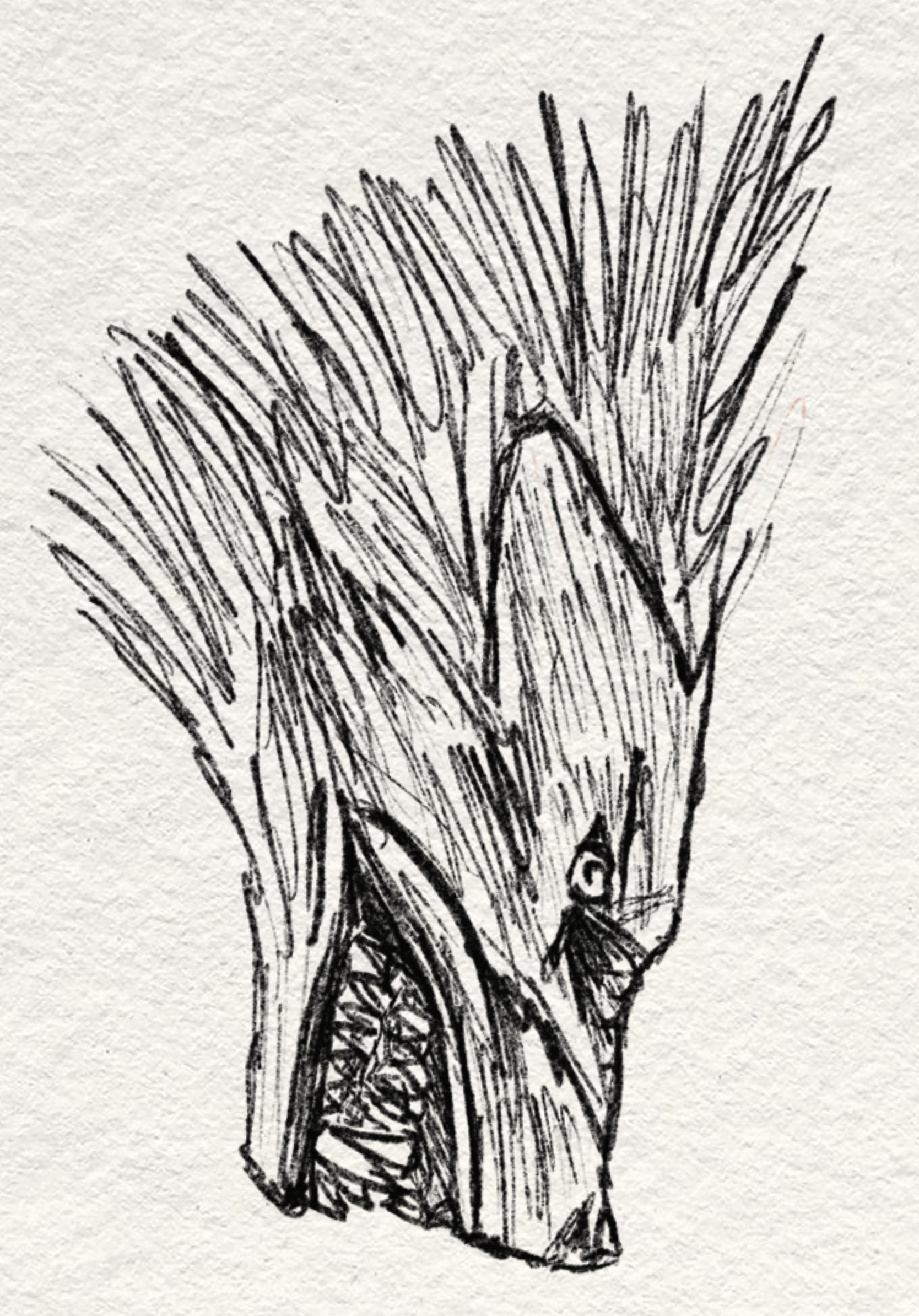 Untitled_Artwork 8.png