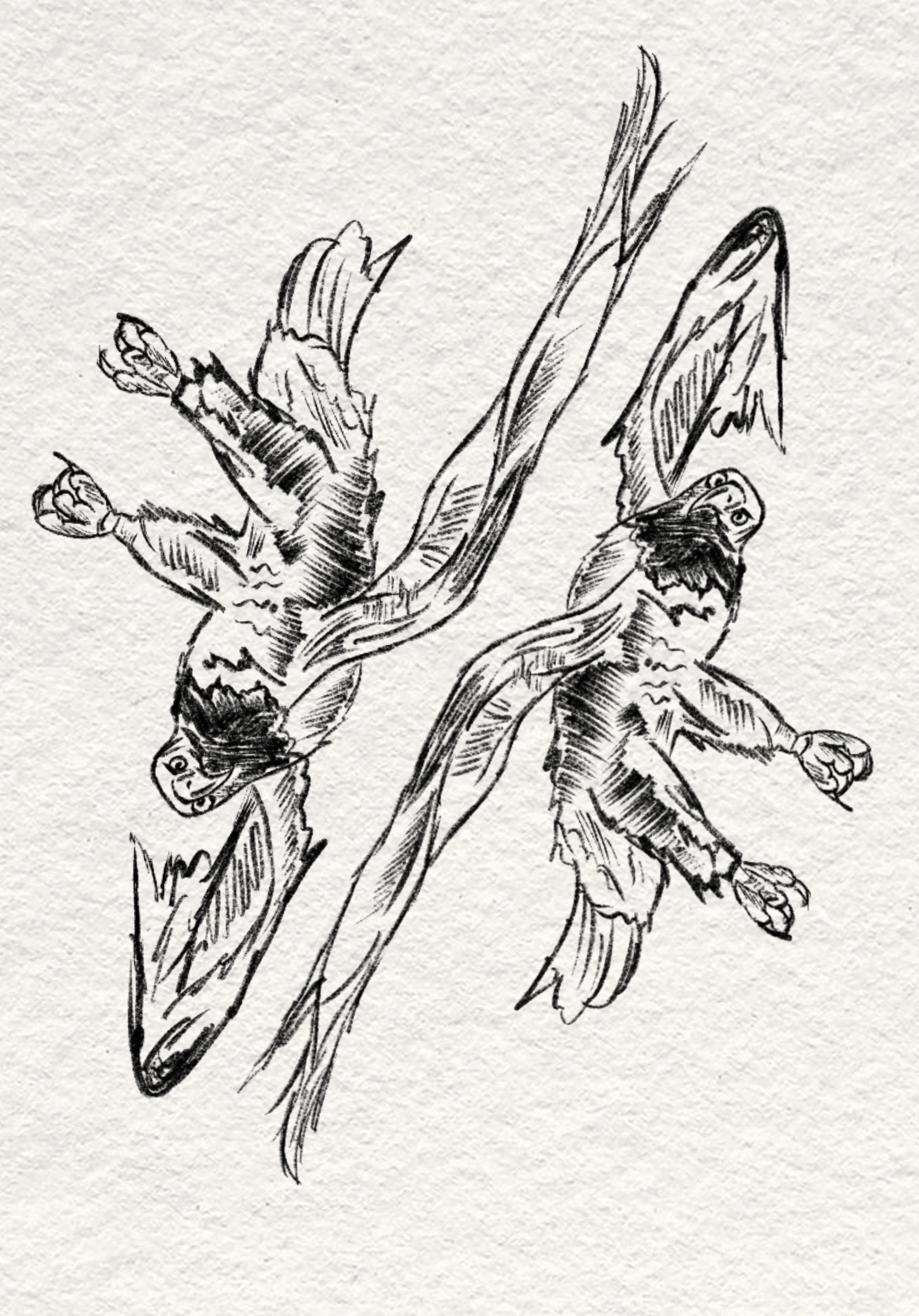 Untitled_Artwork 2.png