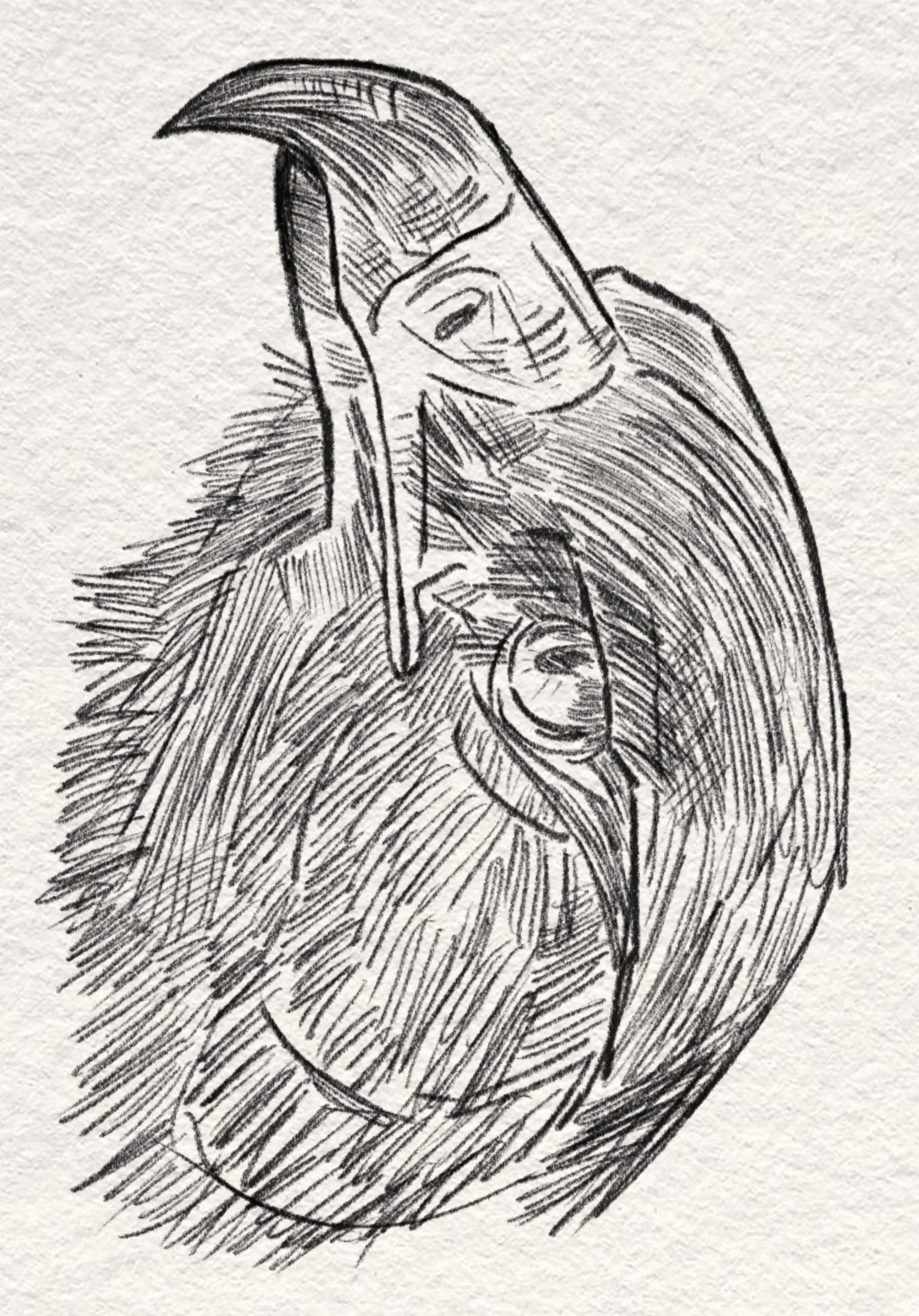 Untitled_Artwork 5.png