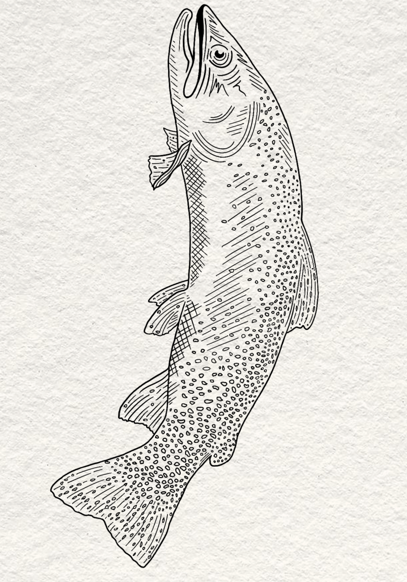 Untitled_Artwork 16.png