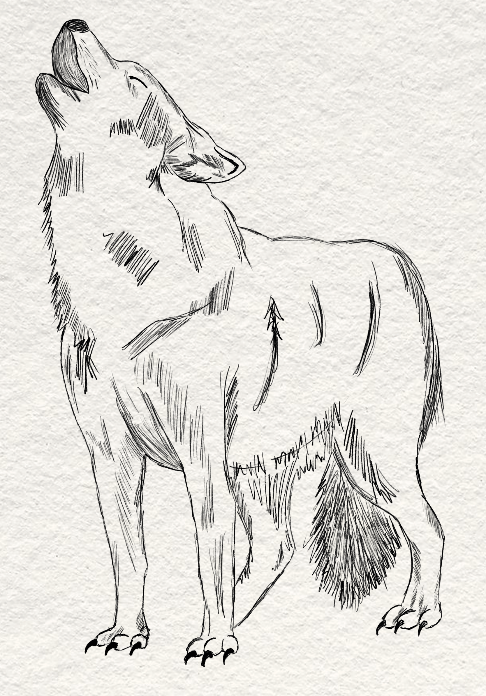 Untitled_Artwork 15.png