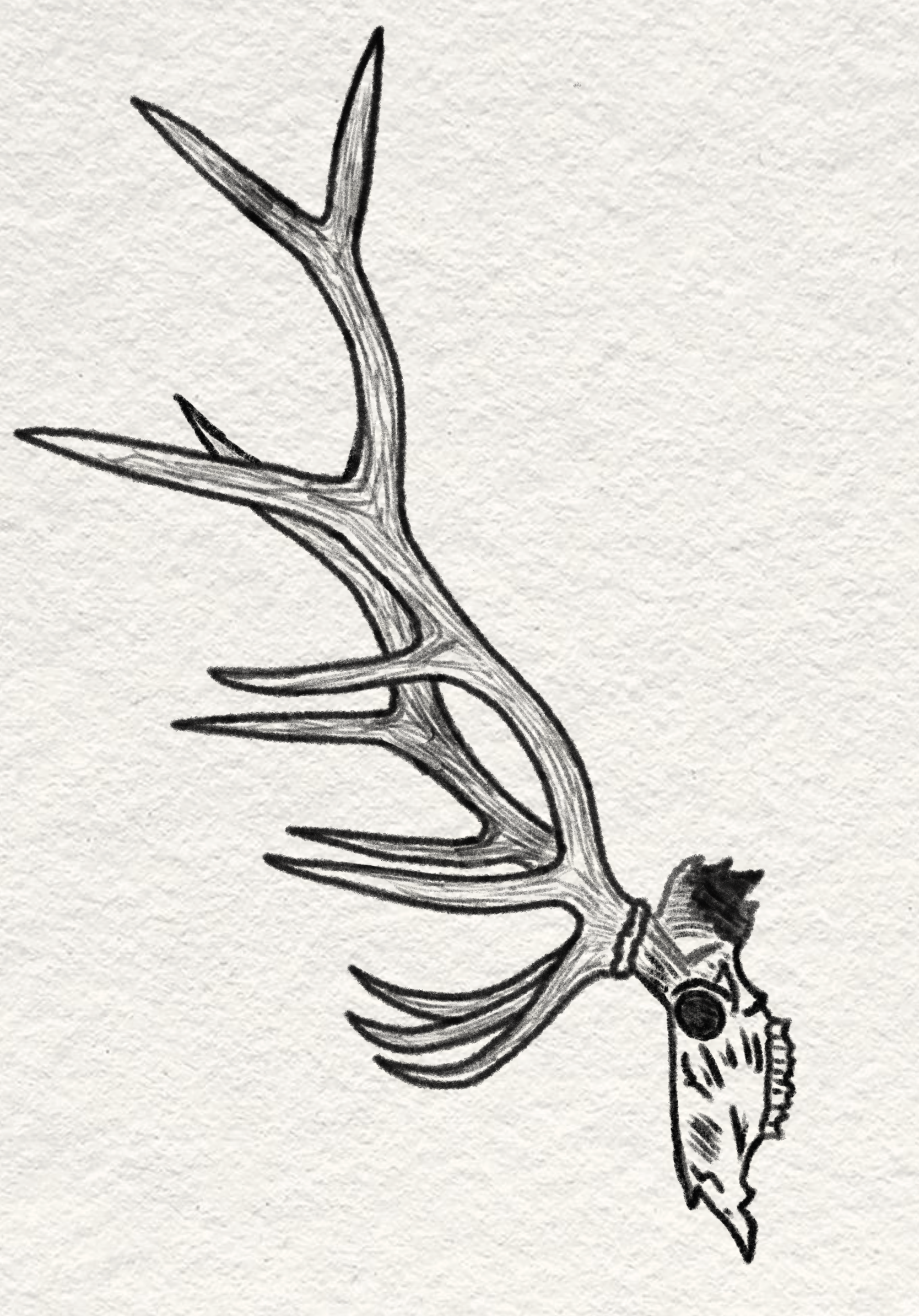 Untitled_Artwork 6.png