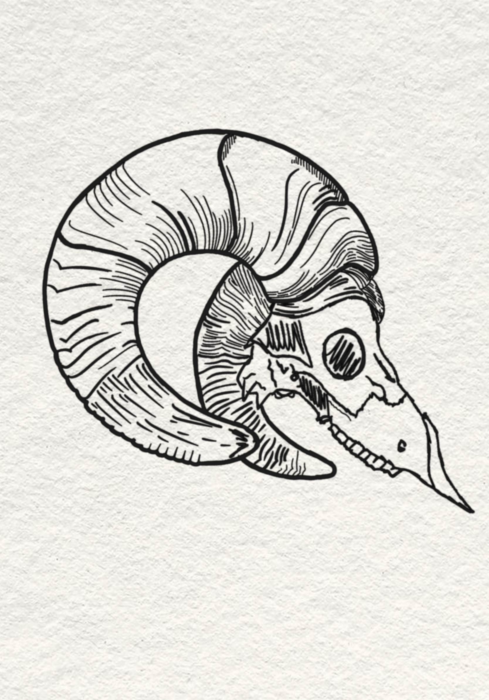 Untitled_Artwork 17.png