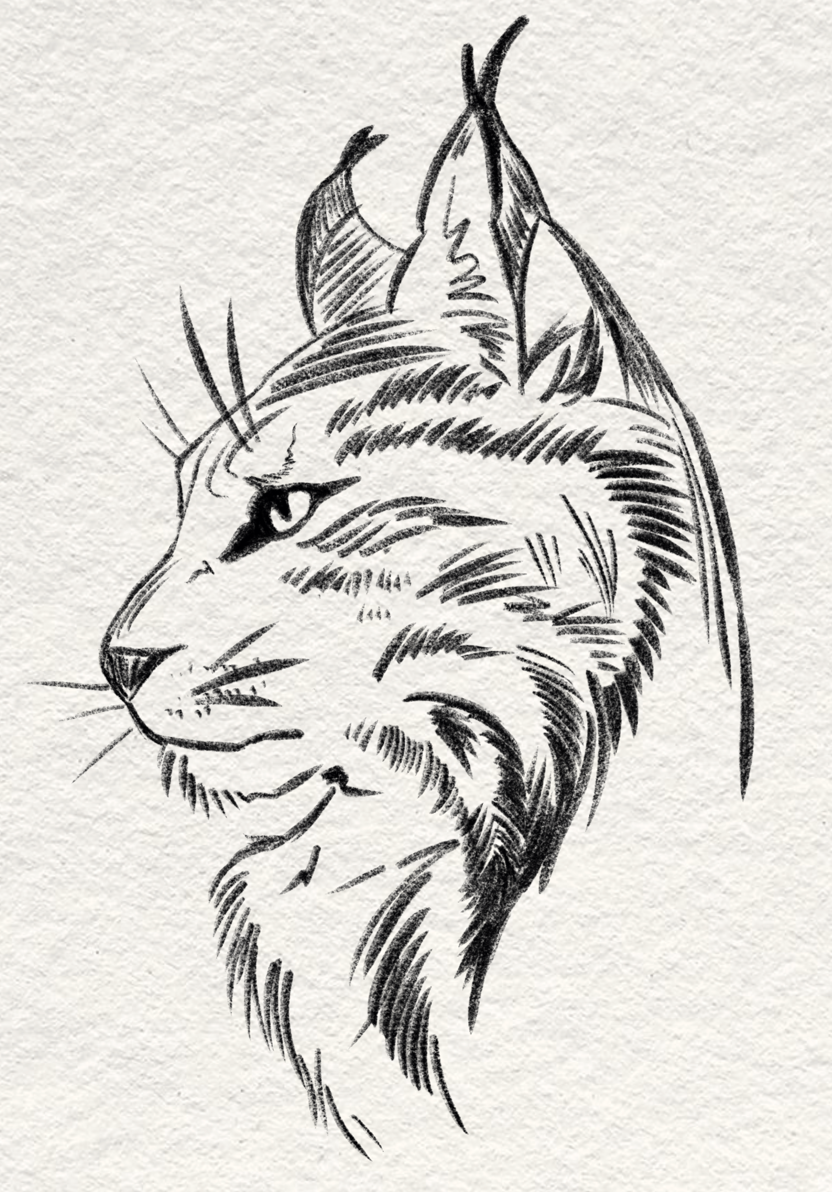 Untitled_Artwork 14.png