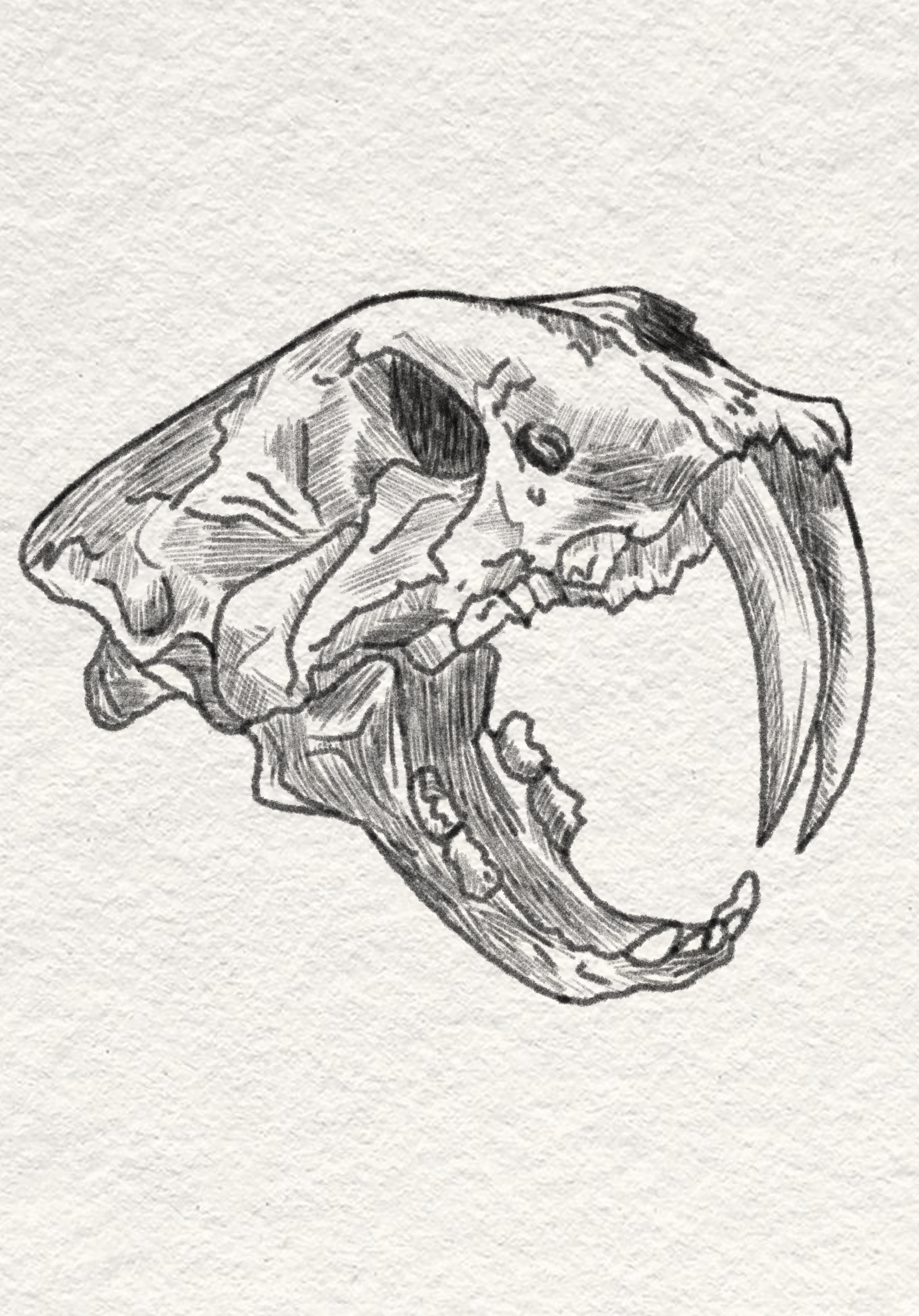 Untitled_Artwork 7.png