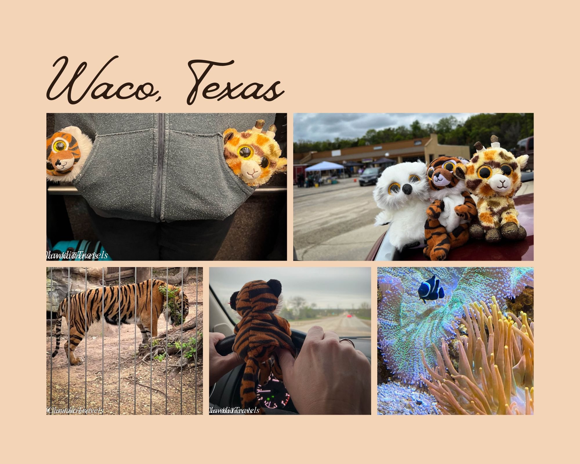 Trip Number 3 - Waco, Texas