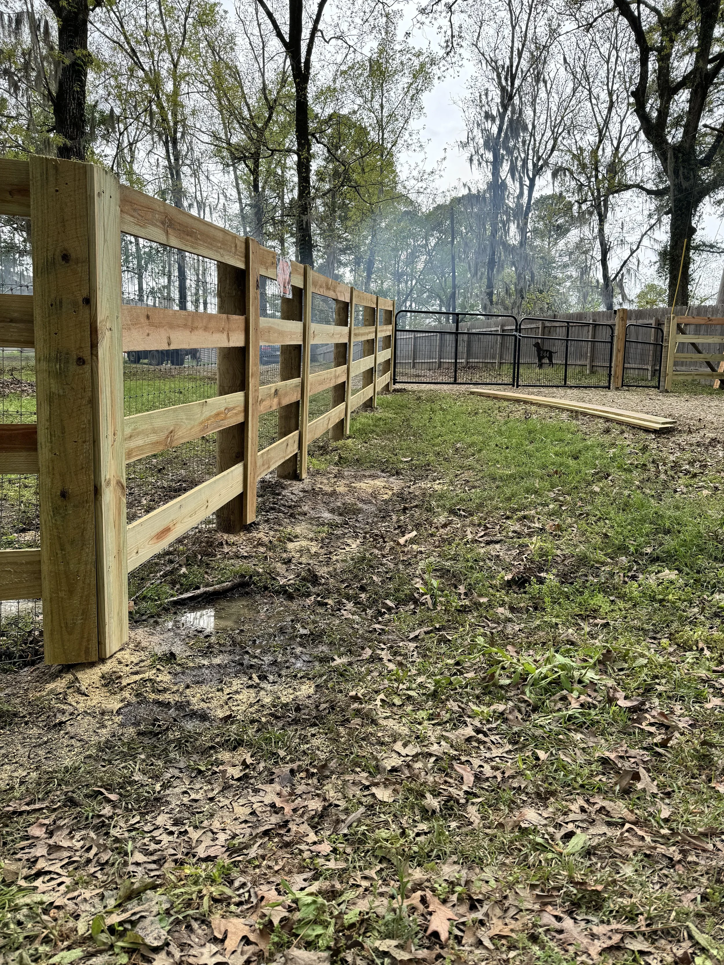 Kentucky 4 board fence