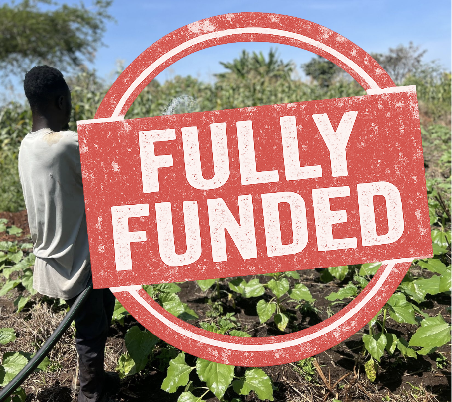 Plant fruit and vegetable row gardens and a variety of trees for sustainable crop farming