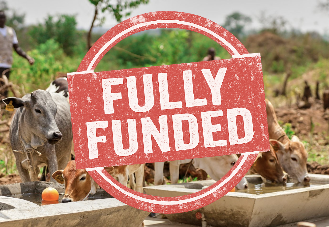 Purchase animals for sustainable livestock farming