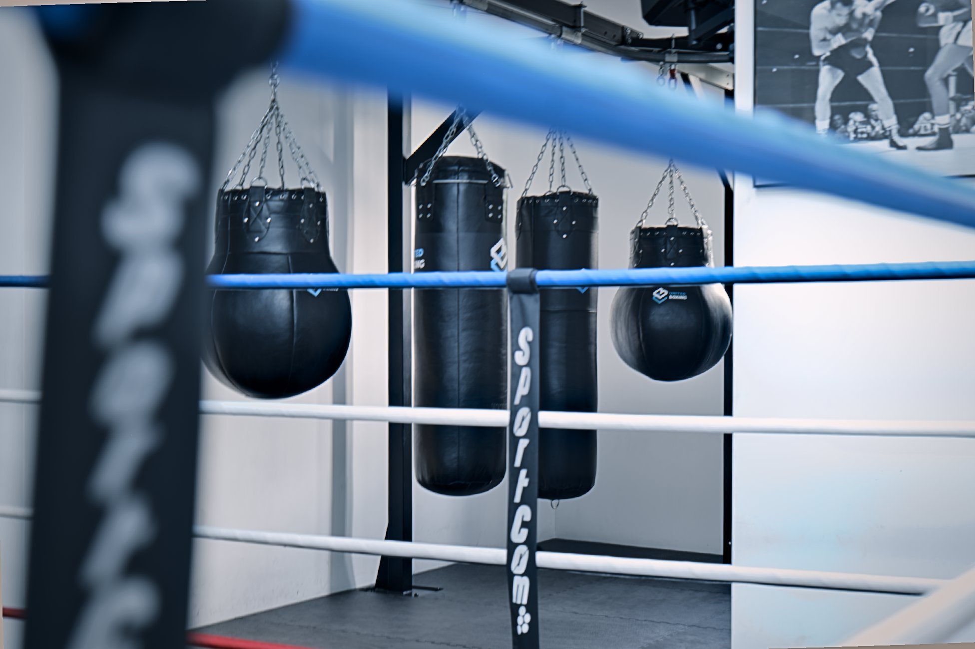 Sacs de frappe professionnels et ring de boxe chez United Boxing à Colombes.
