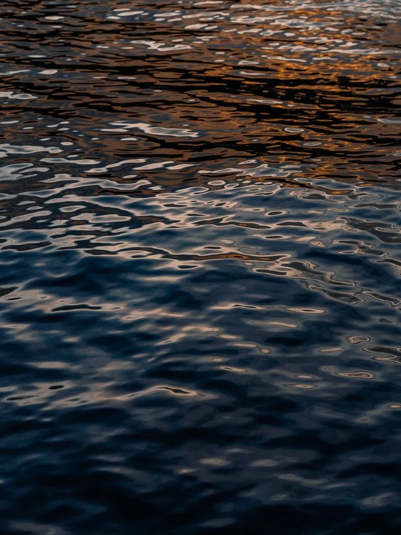 New year, new set of photos from over 500 days ago 🥲