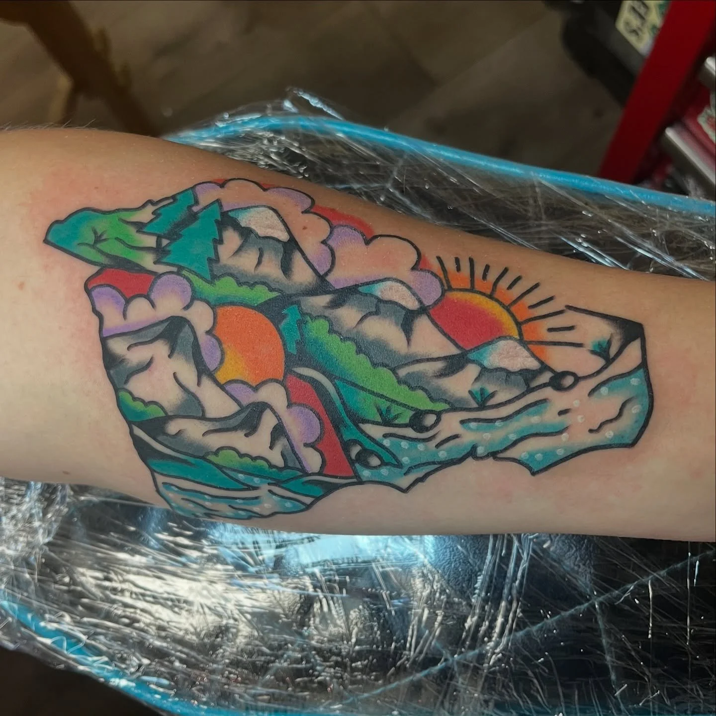 Man I fuckin love the Carolina&rsquo;s! It was an absolute pleasure to do this tattoo for a true blue Carolinian! #thecarolinas