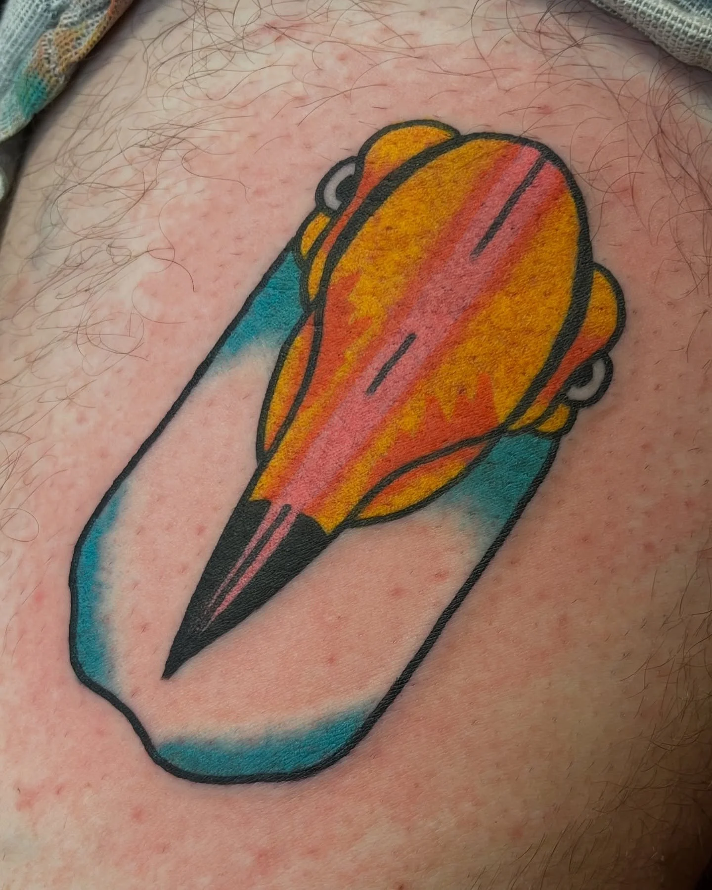 Fresh toucan followed by a healed toucan plus some fun ones I got to do this weekend. @sweetandsourtattoo