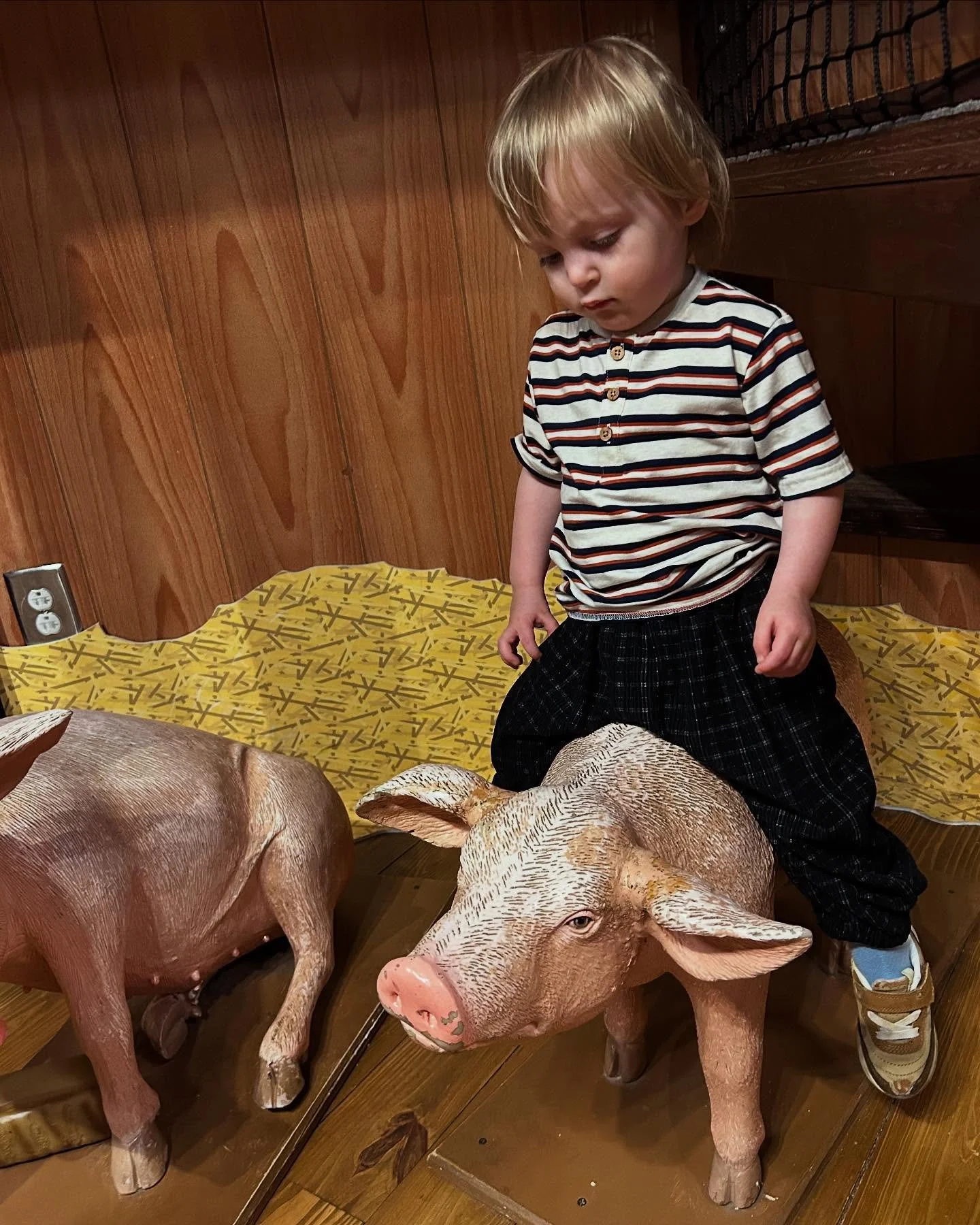 EVERYONE WISH MERLIN A HAPPY 2ND BIRTHDAY!!! To know Merlin is to love him! Here&rsquo;s to many more doo&rsquo;s and laughs with you ❤️❤️❤️