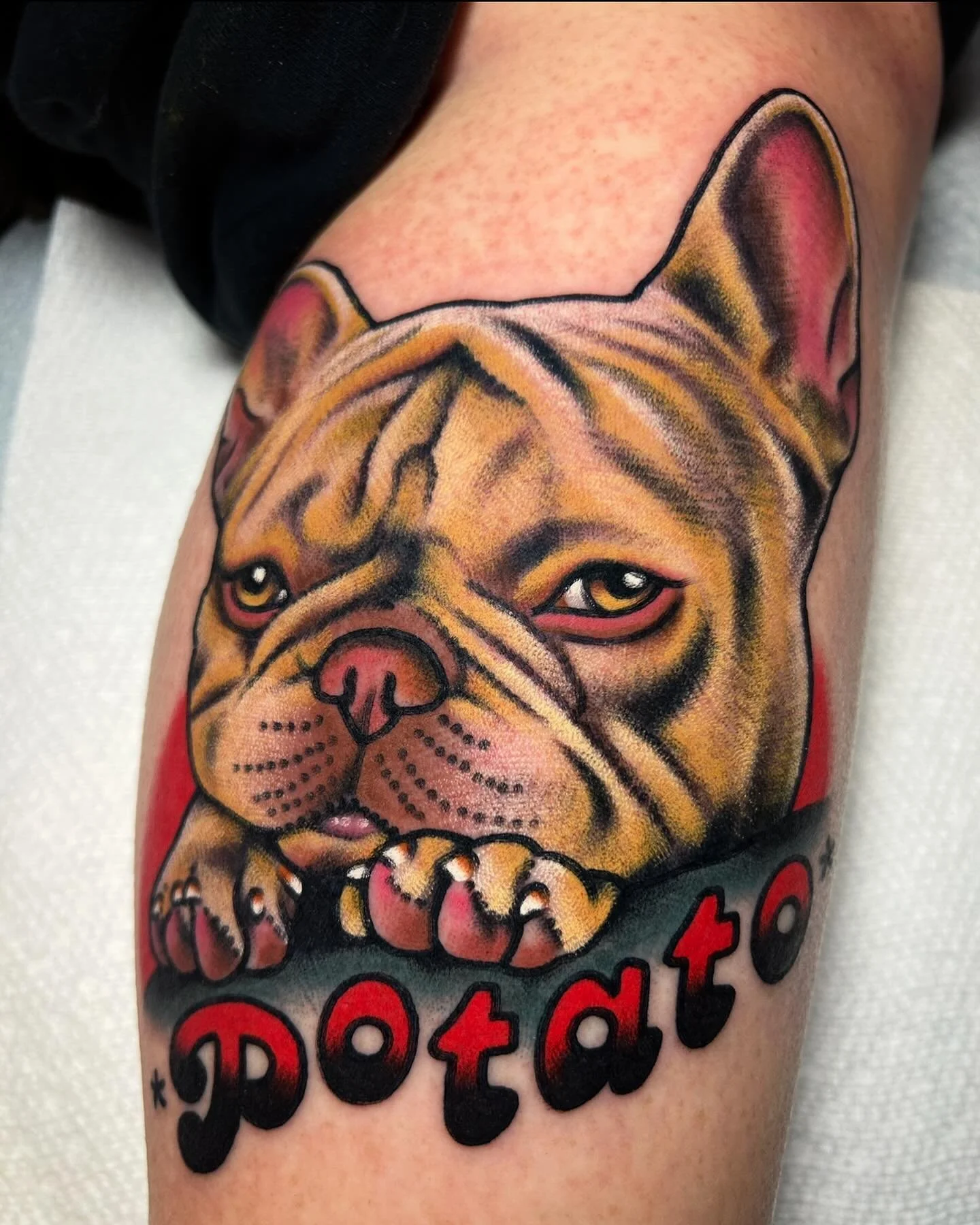Potato the French Bulldog tattooed today for Chapin, thank you again!!! @sweetandsourtattoo lined and shaded and everything in between with machines made by @amigosmfg and the finest needles money can buy from @kingpintattoosupply #kingpintattoosuppl