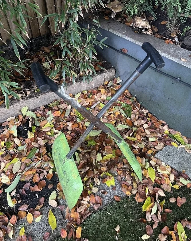A garden with a small shovel, a hand rake, and fallen leaves on the ground.