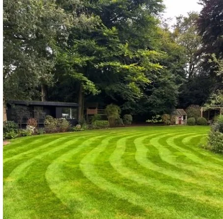 A well-maintained backyard lawn with striped grass patterns, surrounded by trees and garden structures.
