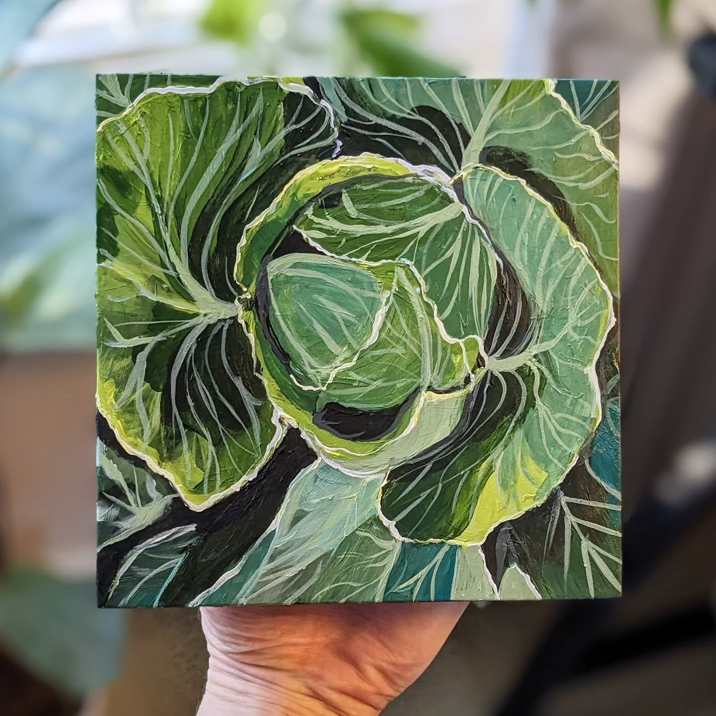 Trying something different. I want to do a series of fruit and veggies. This one was challenging for me and I'm still not completely happy with it but it's done for now. Cabbage 6x6&quot; acrylic on wood panel. 
.
.
.
#art #artist #garden #cabbage #p