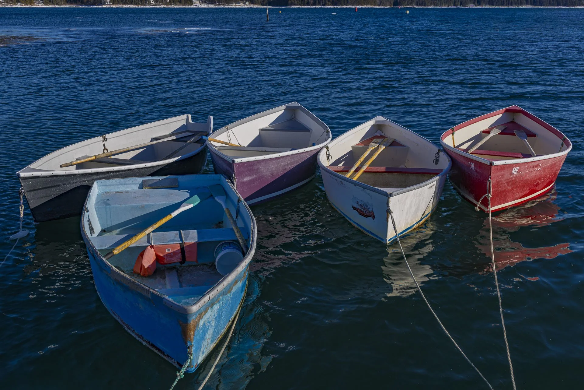 Winter Harbor Boats in Waiting