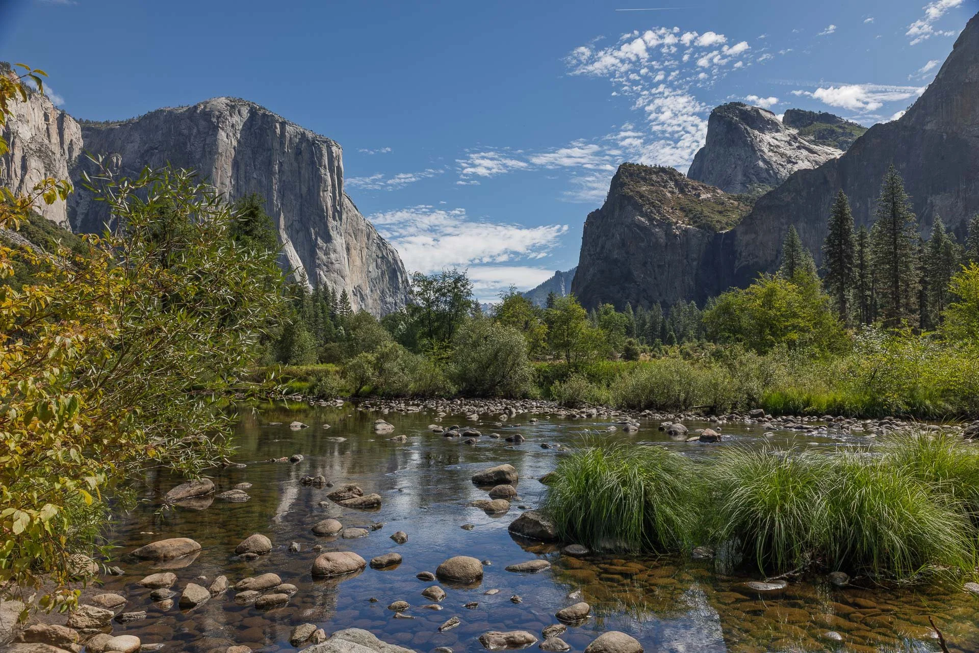 View of Yosemite Valley from "Valley View." Half Dome on the right in back.