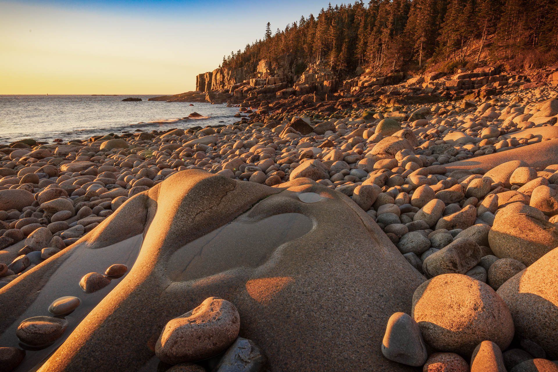 Acadia Images-5.jpg