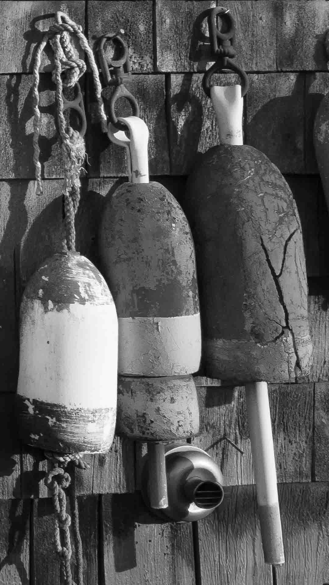 Winter in and around Acadia NP, Thurstons Bernard, ME