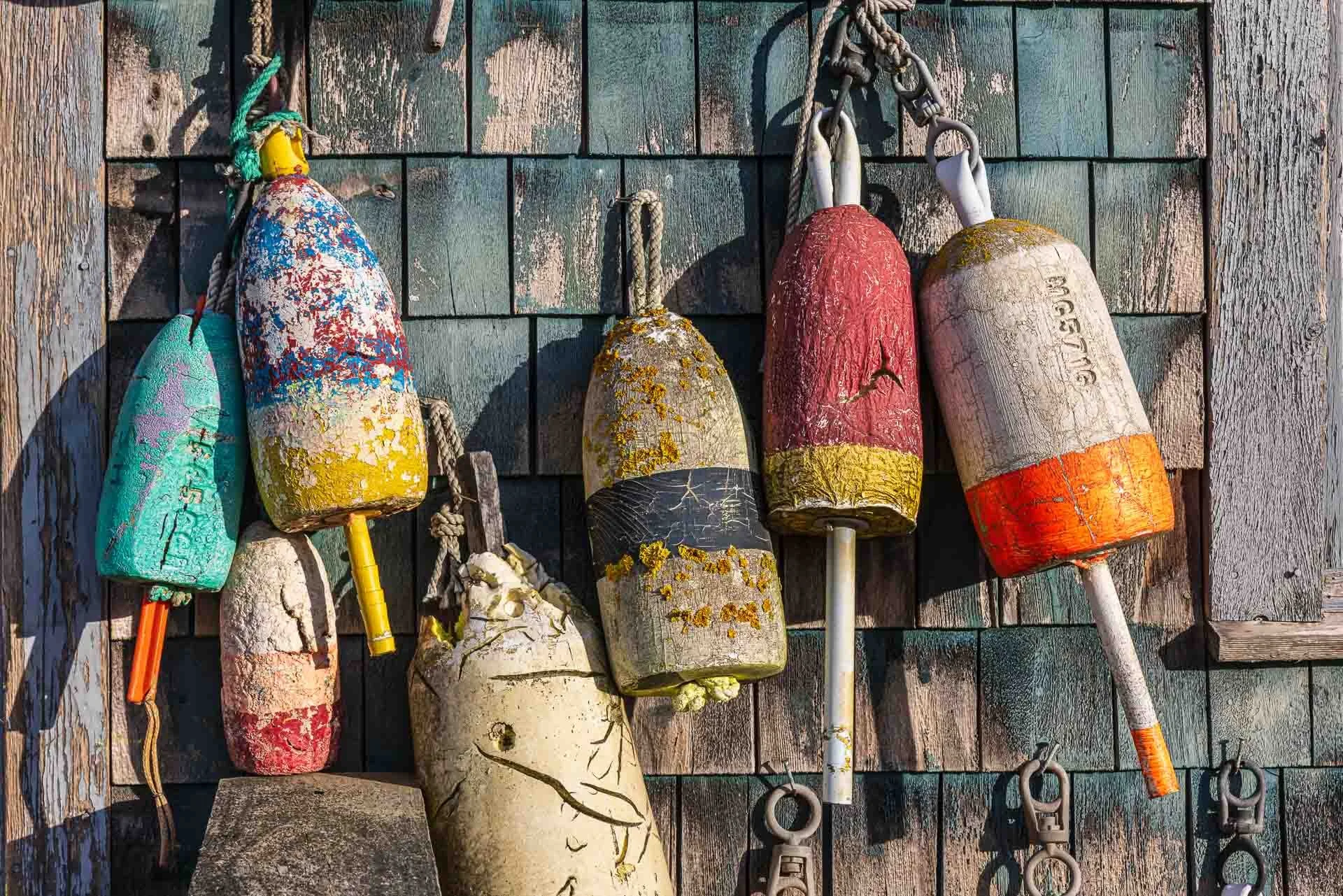 Winter in and around Acadia NP, Thurstons Bernard, ME