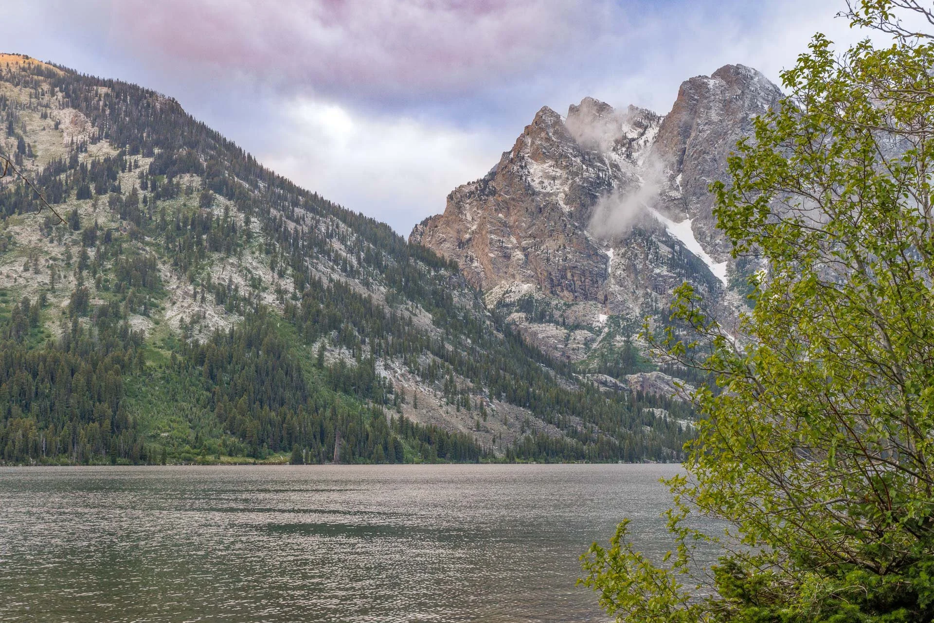 Teton Images -2-2.jpg