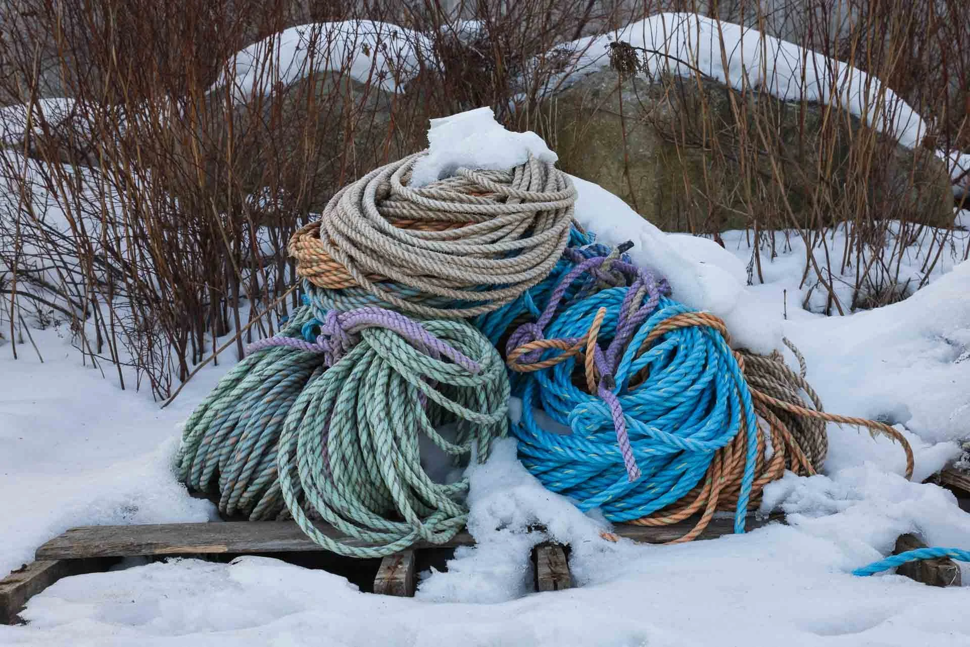 Winter in and around Acadia NP, Thurstons Bernard, ME