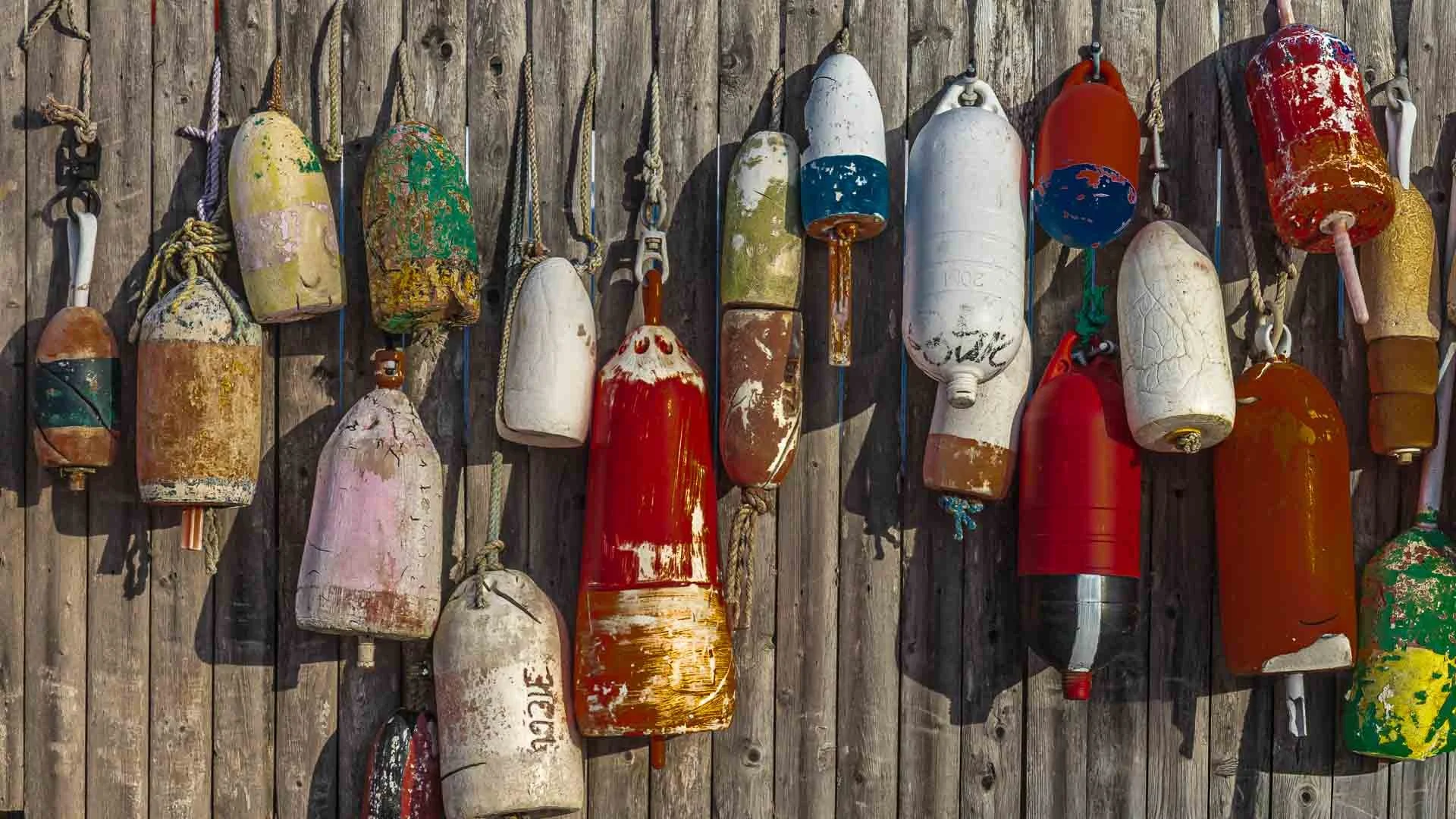 Winter in and around Acadia NP, Thurstons Bernard, ME