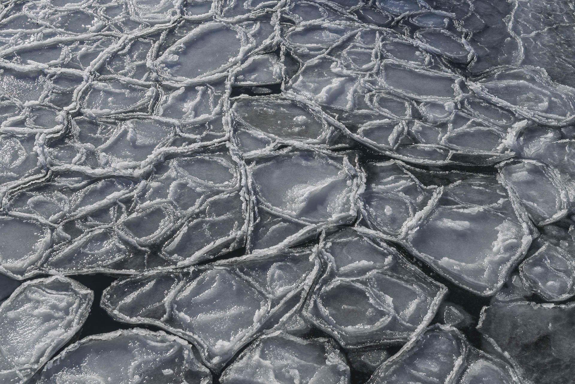 Ice Patterns Prospect Harbor