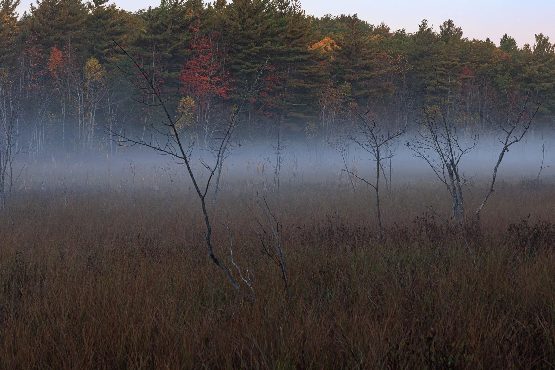 Acadia Images 2-6.jpg
