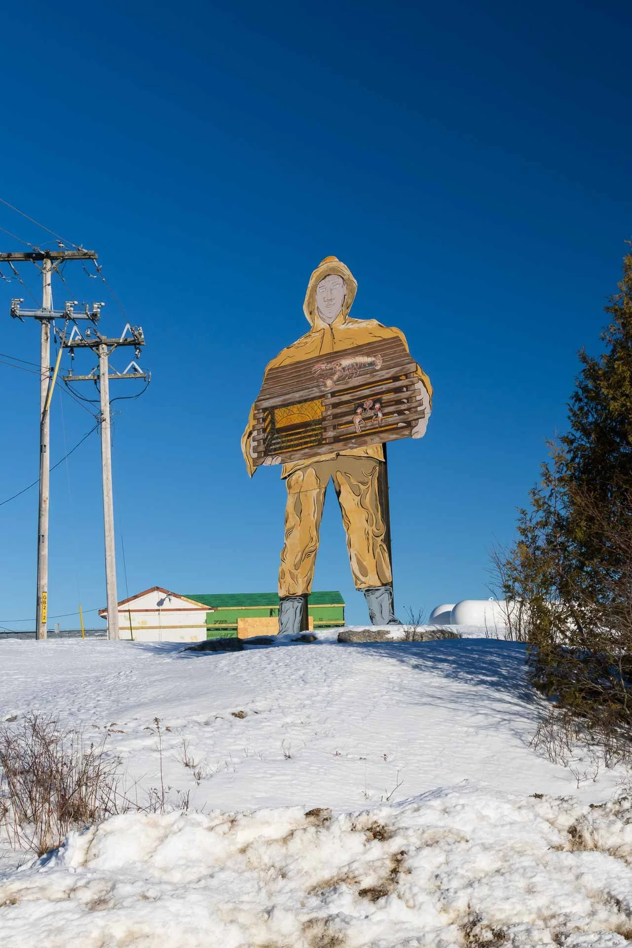 Winter in and around Acadia NP, Big Jim