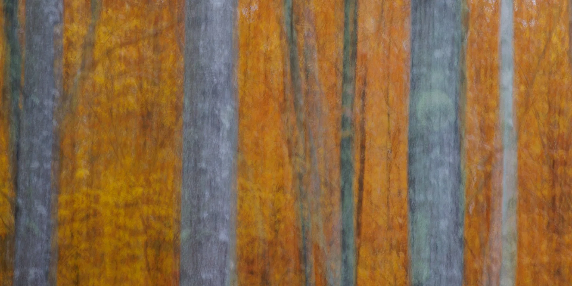 Intentional Camera Motion 