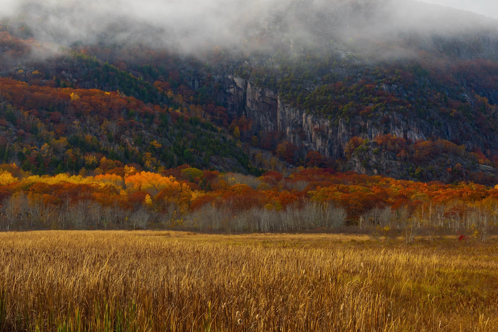 Precipice in the Fog