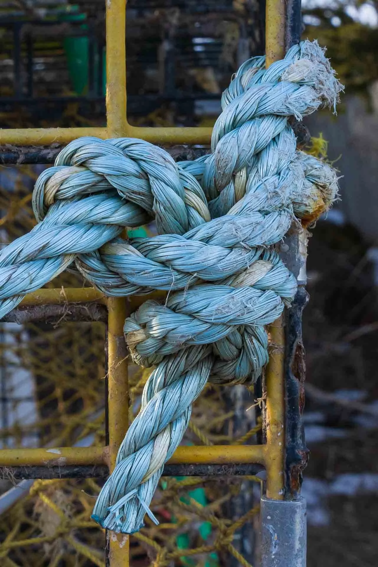 Winter in and around Acadia NP, Thurstons Bernard, ME