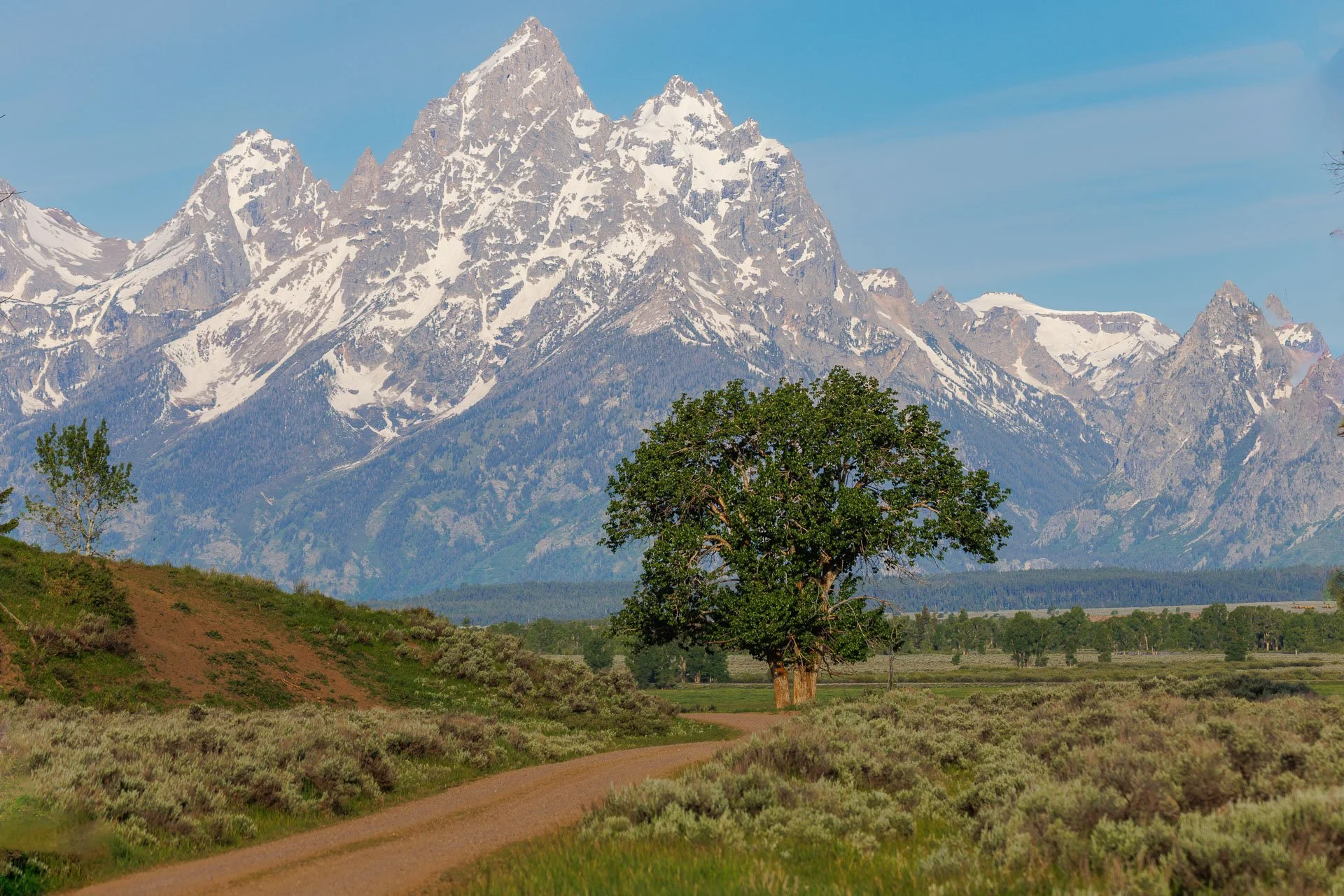 Teton Images -2-10.jpg