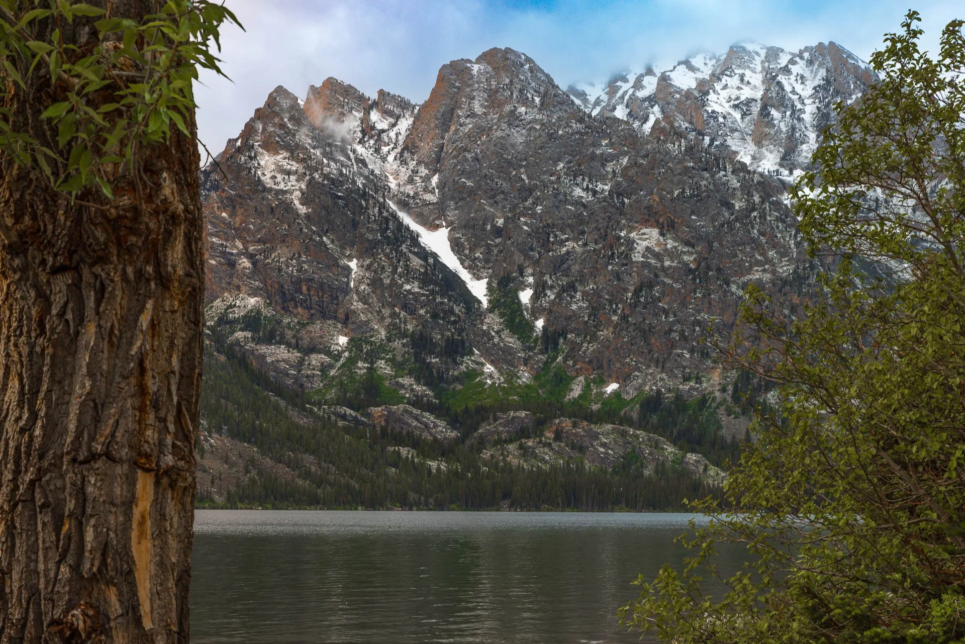 Teton Images-2.jpg
