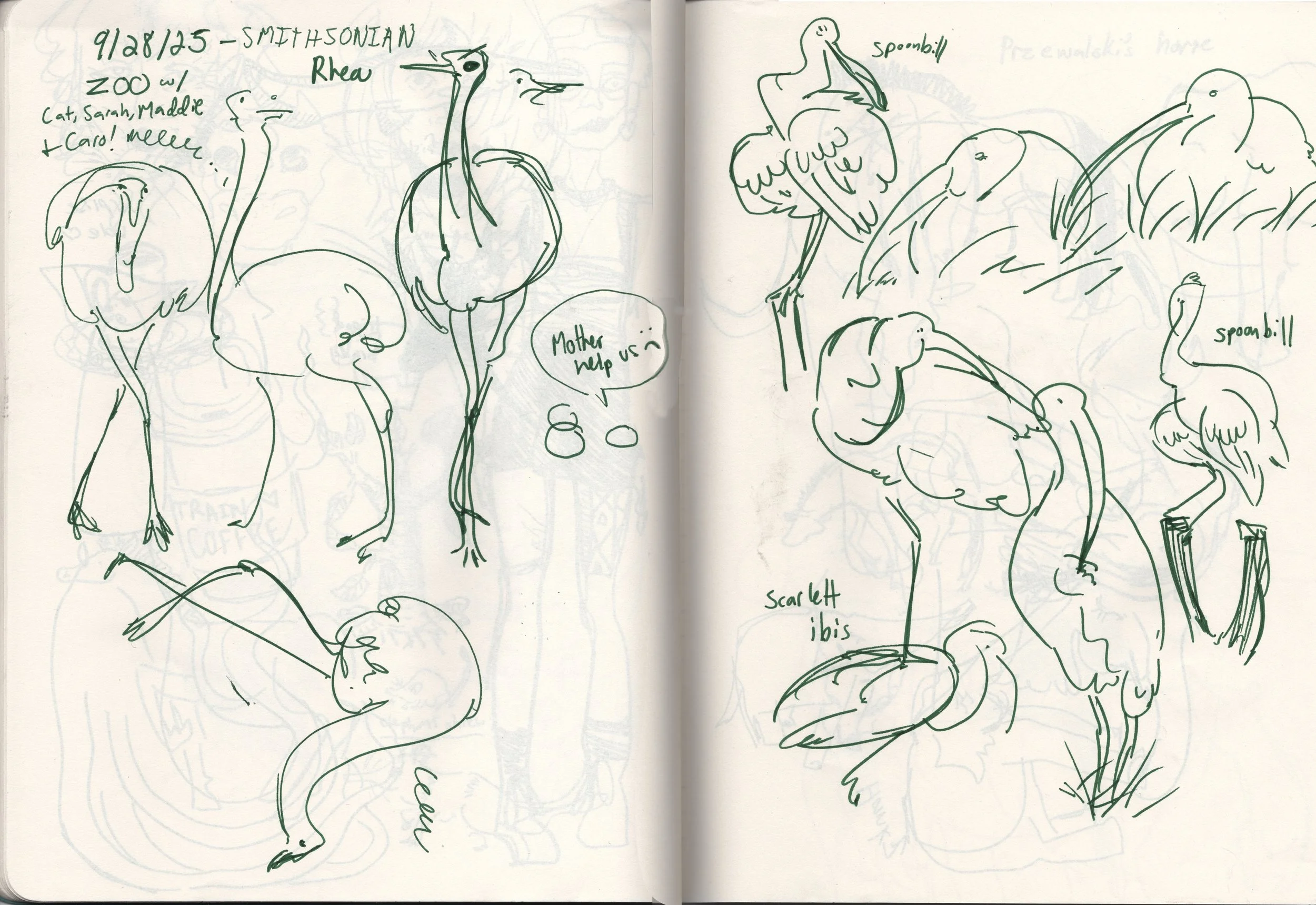 Sketchbook_ChristmasCards copy.jpg