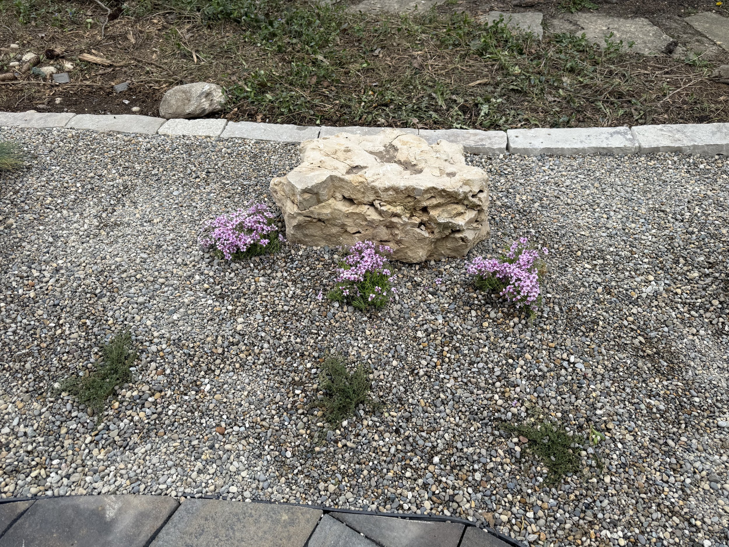 IMG_0257.jpeg