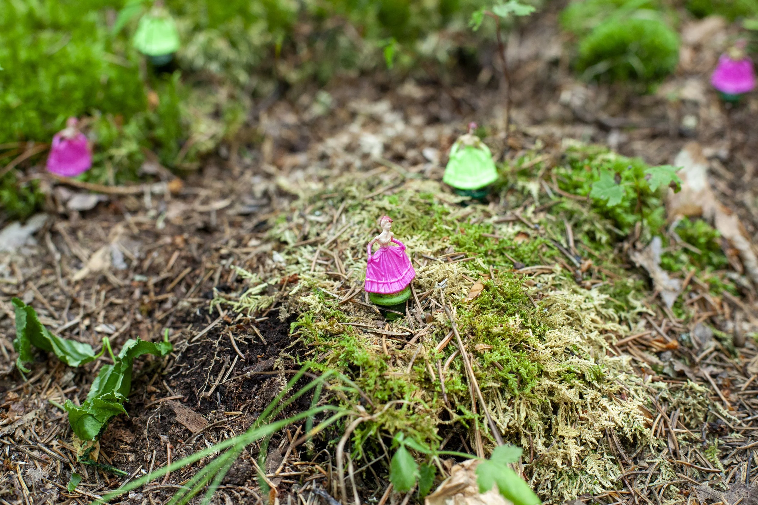 _MG_9007.jpg