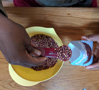 Scoop seeds for the seed collective