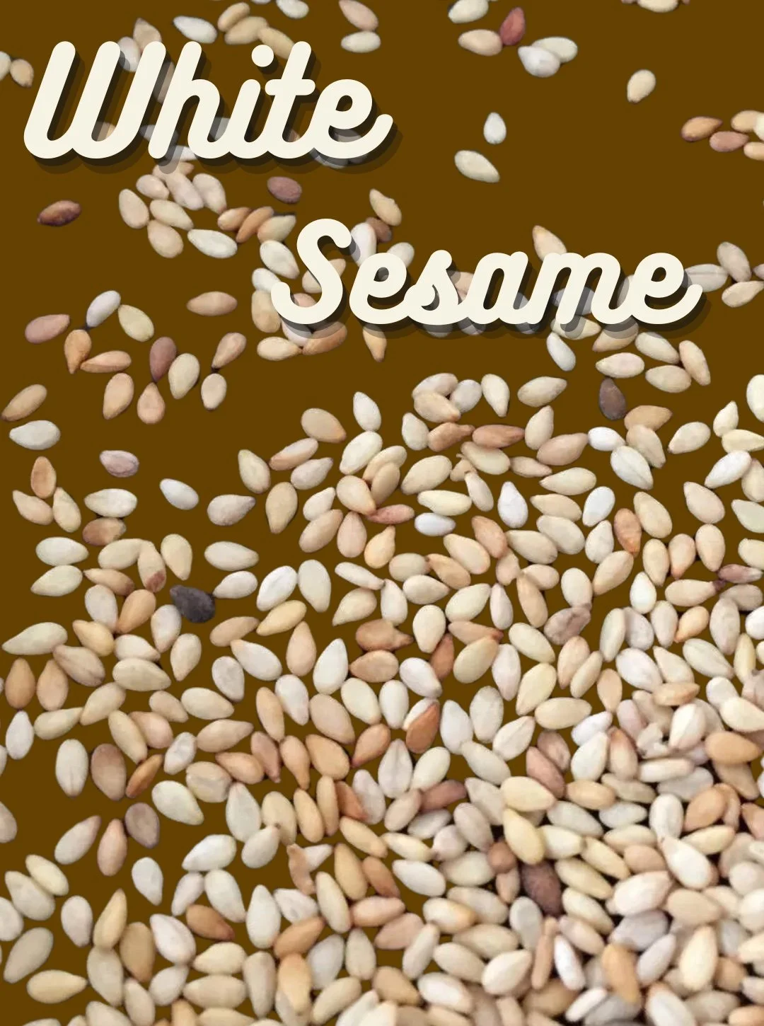 Sesame Seeds, Monticello White
