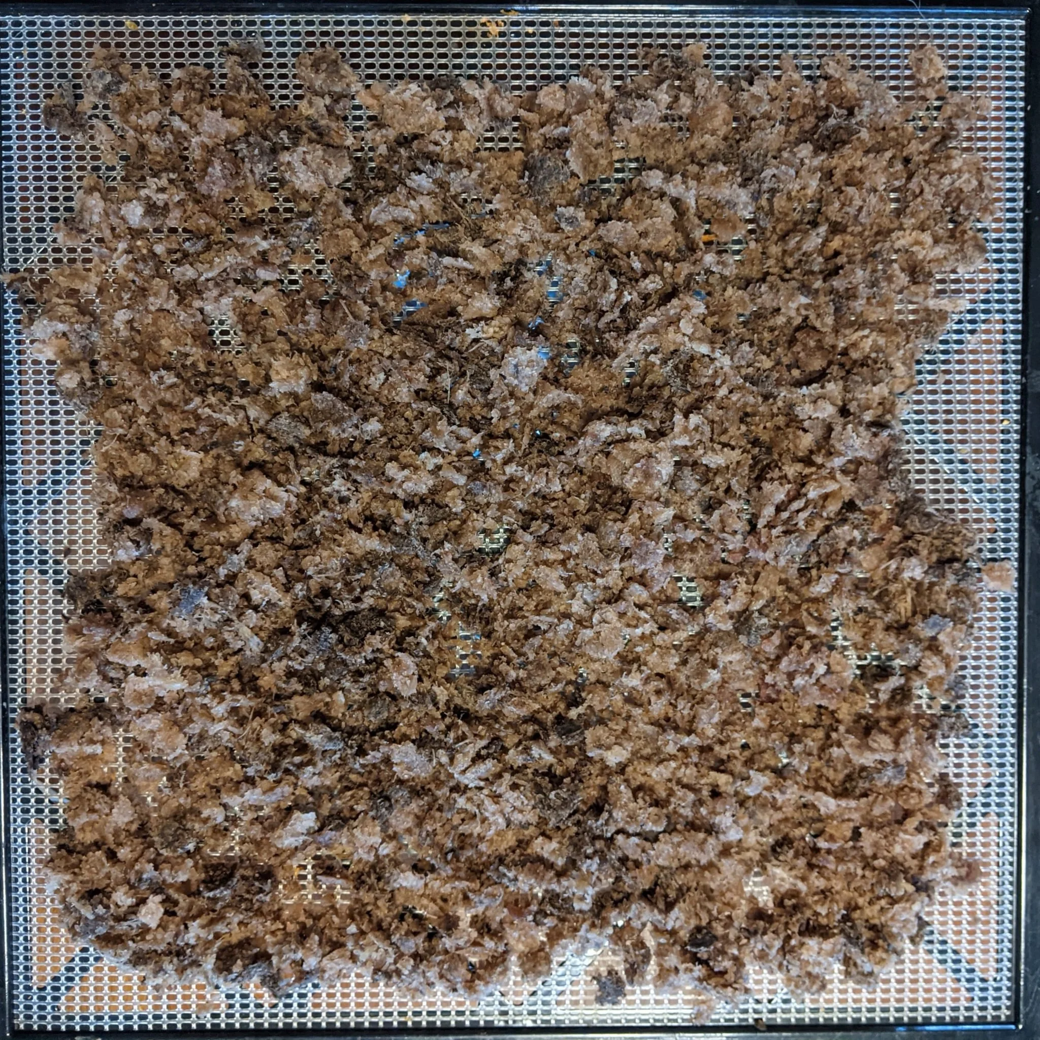 yacon-syrup-pulp-drying.jpg