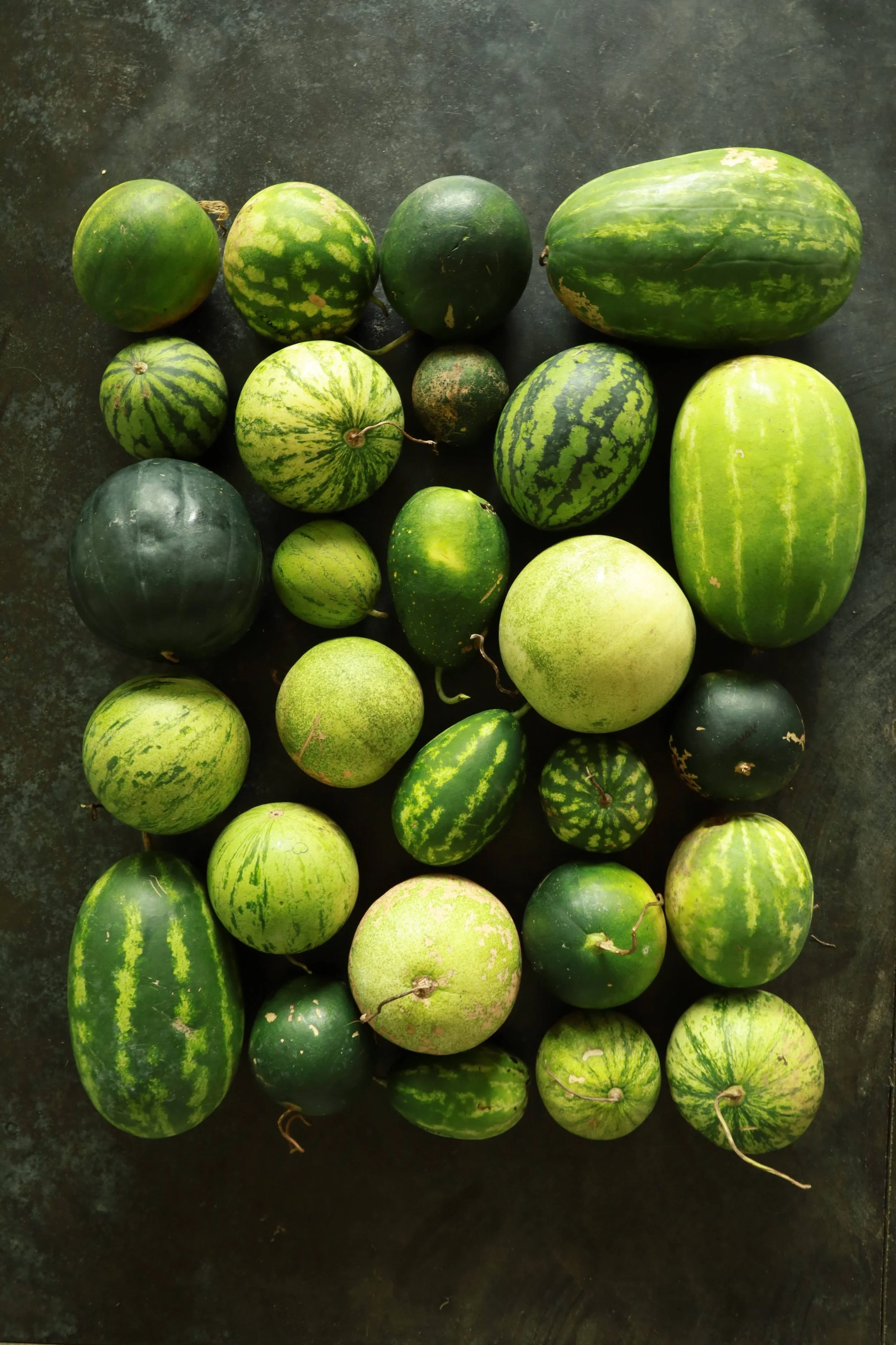 A Diverse Watermelon Pre-screening Trial and Tasting