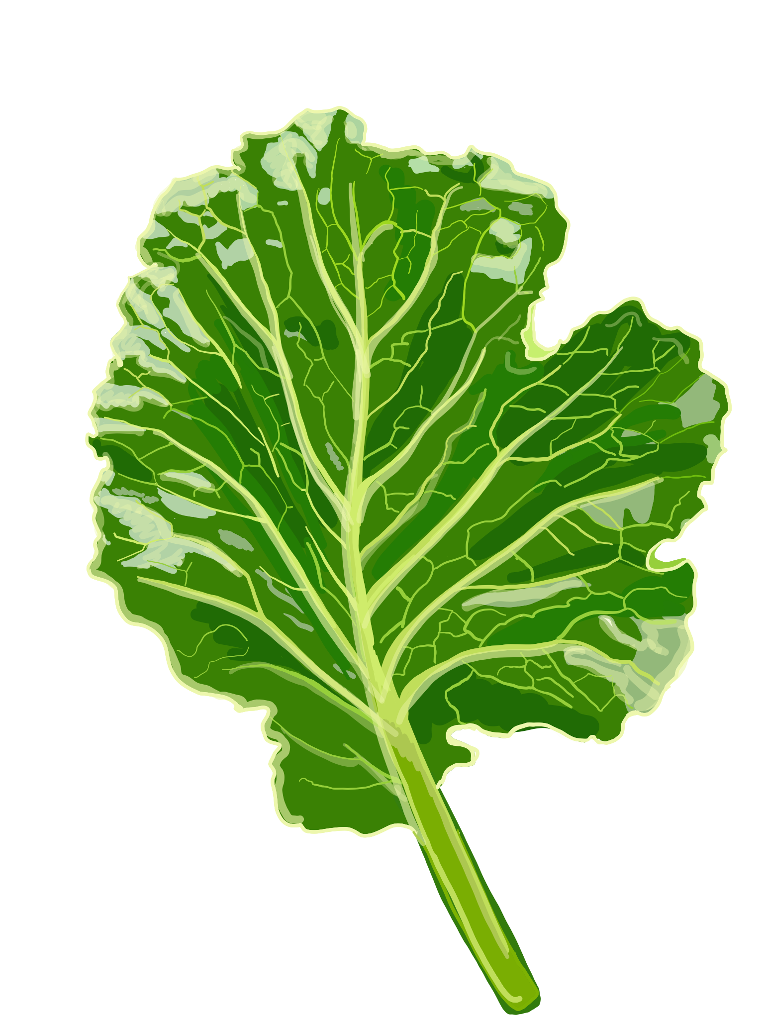 Crop Stories - Your Quick Guide to Collards by Mark Farnham