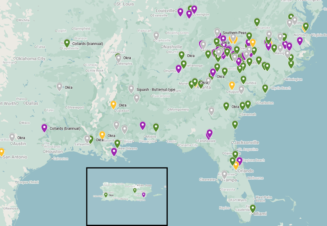 Community Seed Selection and Regional Adaptation - 2025 Grower Report