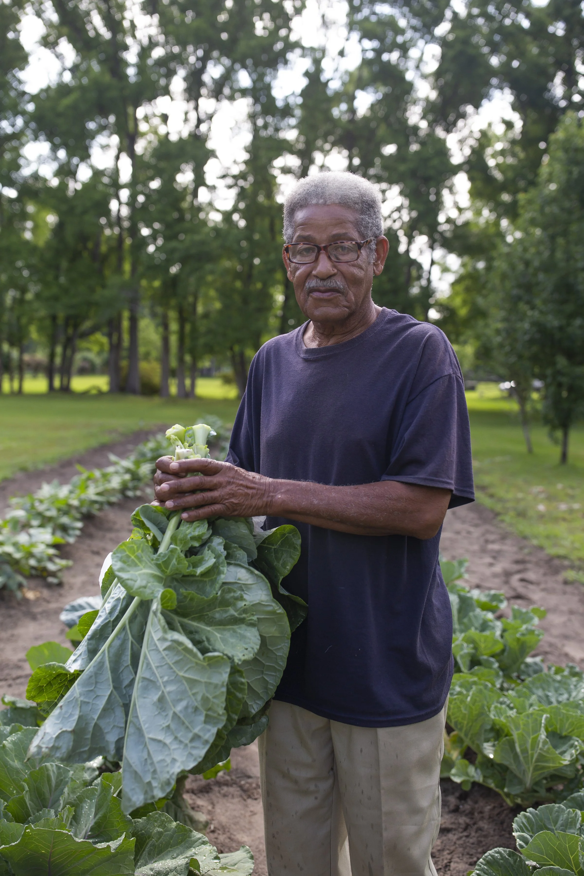 Crop Stories - On the Hunt for Heirloom Seeds in the Collard Belt By Dr. Edward H. Davis